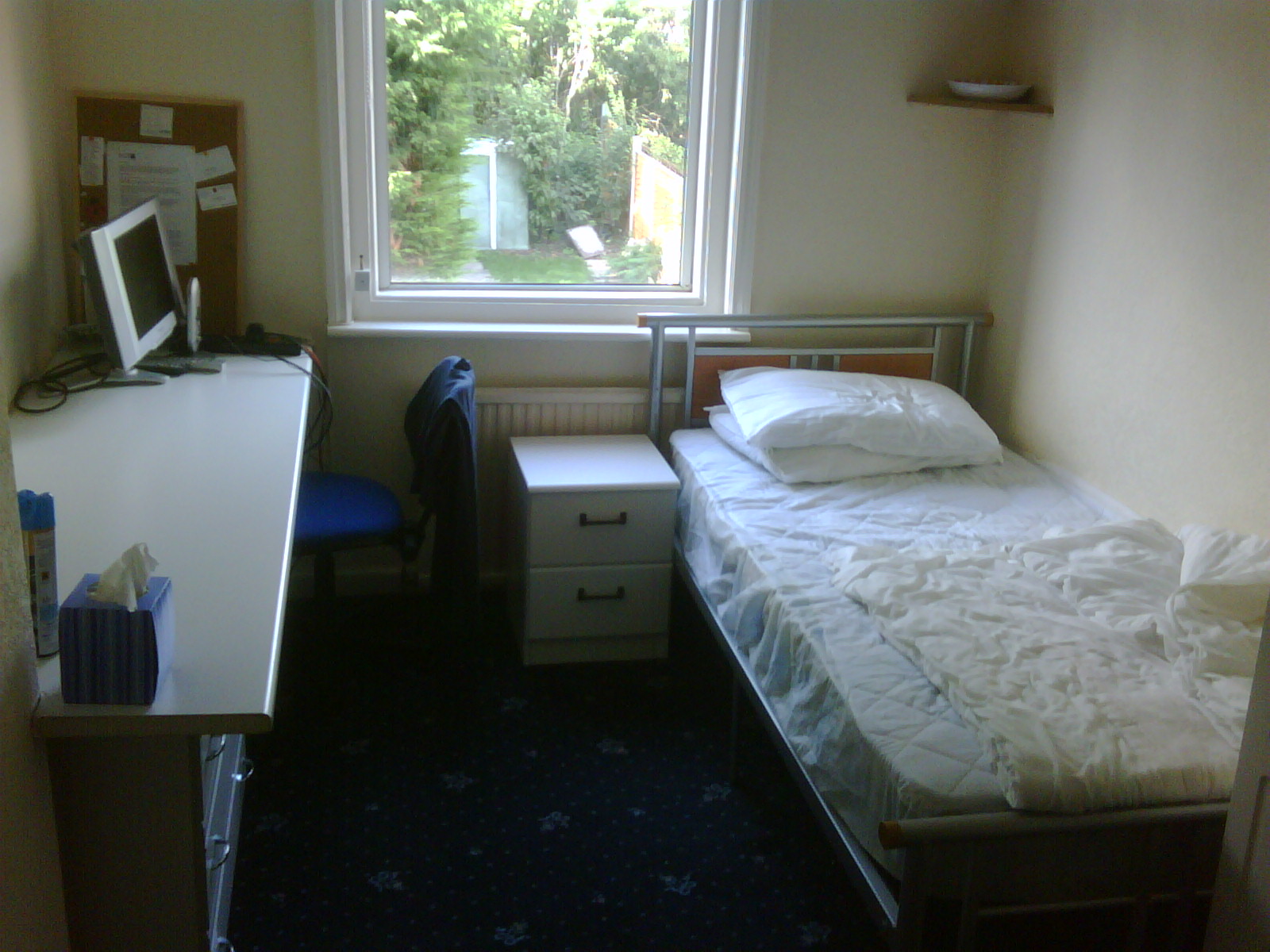 1st Floor Back Bedroom